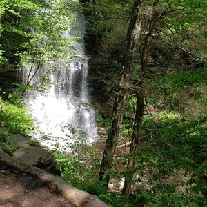 Meet your Posher, Stacy